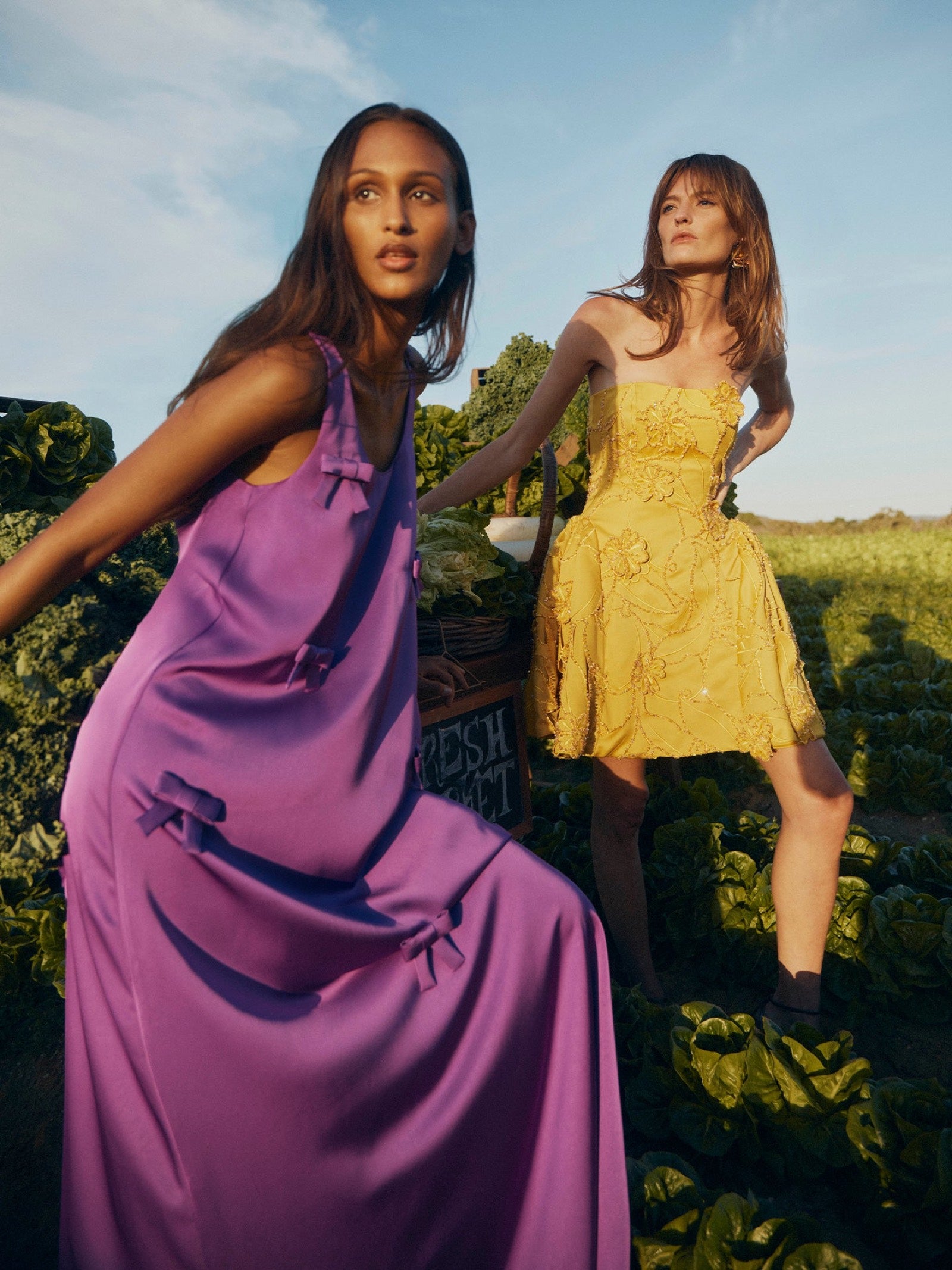 The Sale,
Curated.